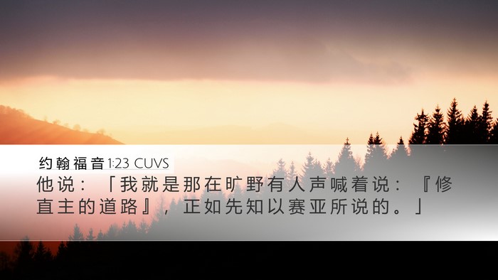 约 翰 福 音 1:23 CUVS Bible Verse Image