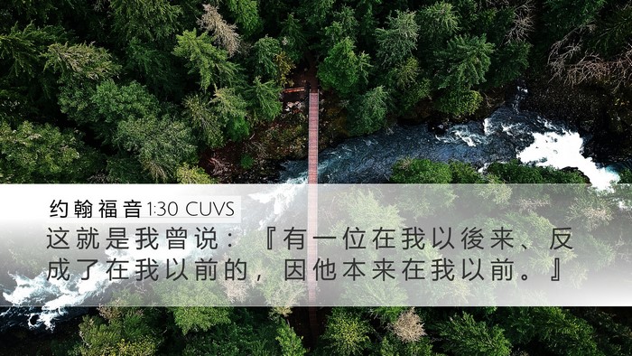约 翰 福 音 1:30 CUVS Bible Verse Image