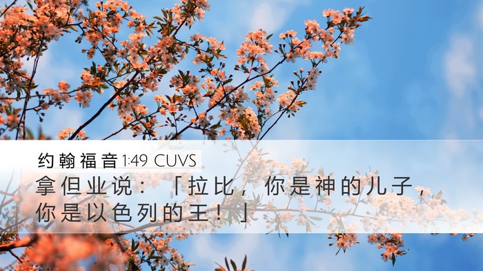 约 翰 福 音 1:49 CUVS Bible Verse Image