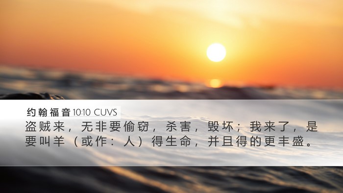 约 翰 福 音 10:10 CUVS Bible Verse Image