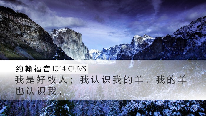 约 翰 福 音 10:14 CUVS Bible Verse Image