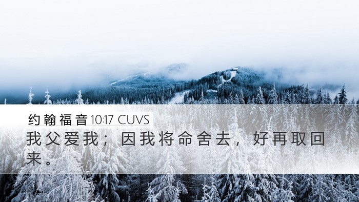 约 翰 福 音 10:17 CUVS Bible Verse Image