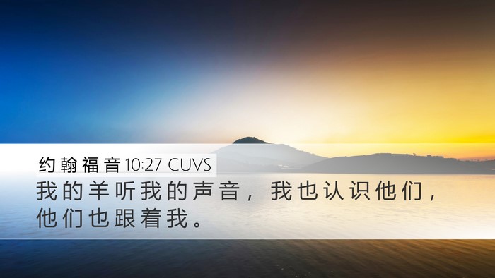 约 翰 福 音 10:27 CUVS Bible Verse Image