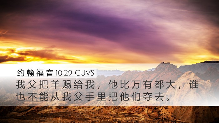 约 翰 福 音 10:29 CUVS Bible Verse Image