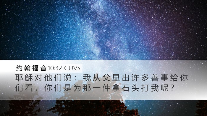 约 翰 福 音 10:32 CUVS Bible Verse Image
