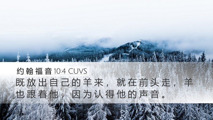 约 翰 福 音 10:4 CUVS Desktop Wallpaper - 既 放 出 自 己 的 羊 来 ， 就 在 前 - Desktop Bible Verse Wallpaper