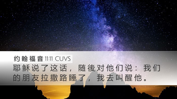 约 翰 福 音 11:11 CUVS Bible Verse Image