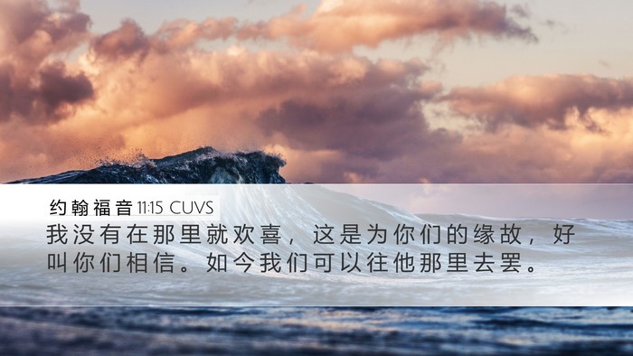 约 翰 福 音 11:15 CUVS Desktop Wallpaper - 我 没 有 在 那 里 就 欢 喜 ， 这 是 - Desktop Bible Verse Wallpaper