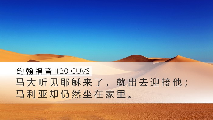 约 翰 福 音 11:20 CUVS Desktop Wallpaper - 马 大 听 见 耶 稣 来 了 ， 就 出 去 - Desktop Bible Verse Wallpaper