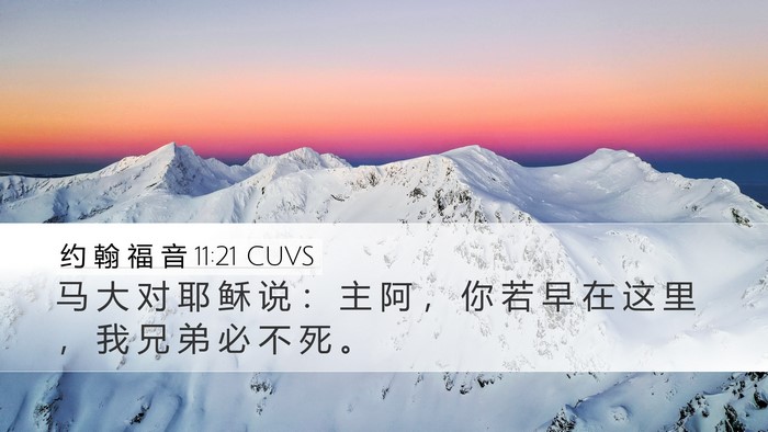 约 翰 福 音 11:21 CUVS Bible Verse Image