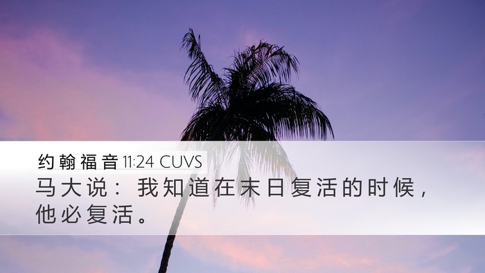 约 翰 福 音 11:24 CUVS Bible Verse Image