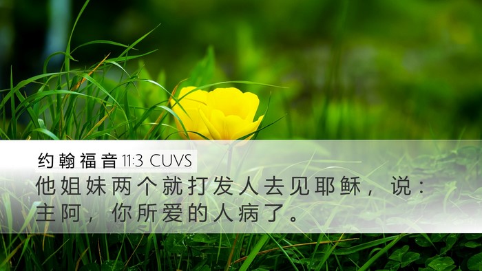 约 翰 福 音 11:3 CUVS Bible Verse Image