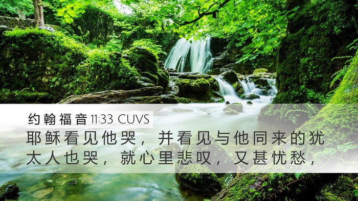 约 翰 福 音 11:33 CUVS Bible Verse Image