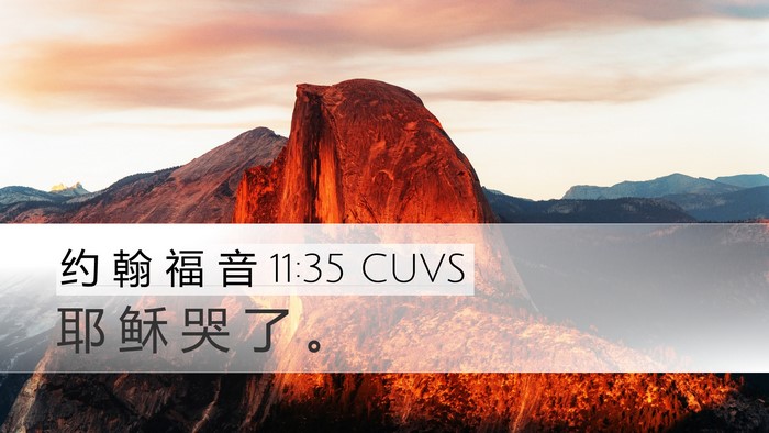约 翰 福 音 11:35 CUVS Bible Verse Image