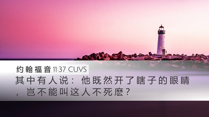 约 翰 福 音 11:37 CUVS Bible Verse Image