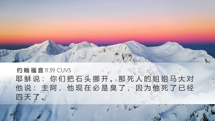 约 翰 福 音 11:39 CUVS Bible Verse Image