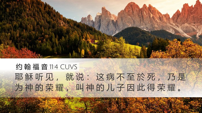 约 翰 福 音 11:4 CUVS Bible Verse Image