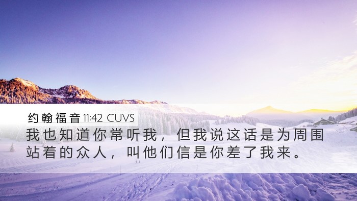 约 翰 福 音 11:42 CUVS Bible Verse Image
