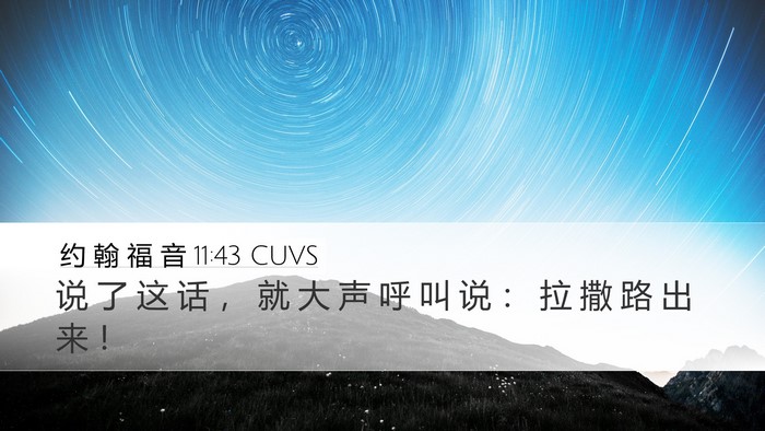 约 翰 福 音 11:43 CUVS Bible Verse Image