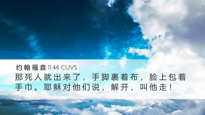 约 翰 福 音 11:44 CUVS Bible Verse Image
