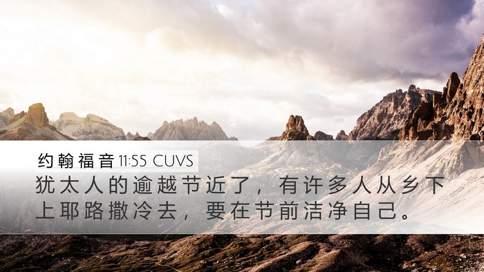 约 翰 福 音 11:55 CUVS Bible Verse Image