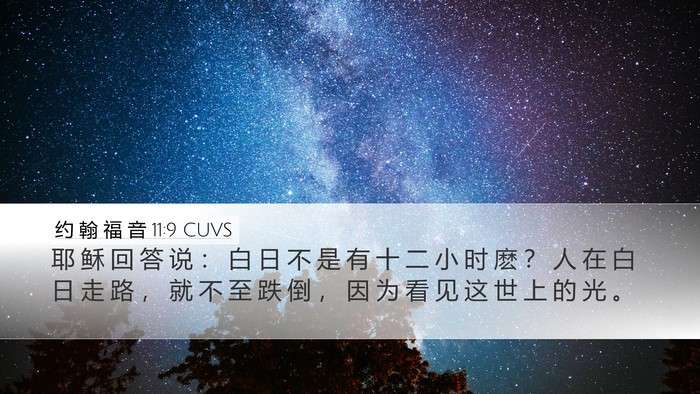约 翰 福 音 11:9 CUVS Bible Verse Image