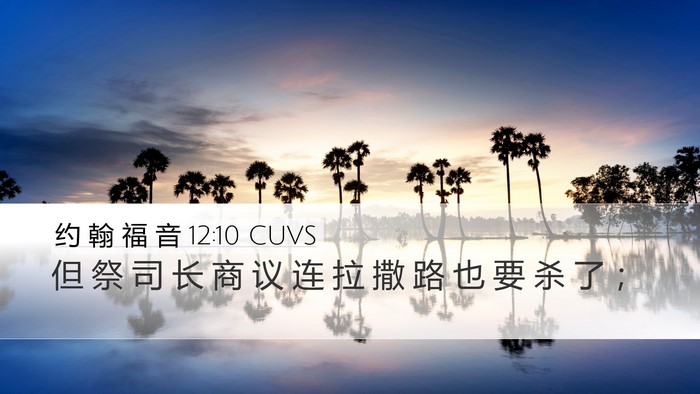 约 翰 福 音 12:10 CUVS Bible Verse Image