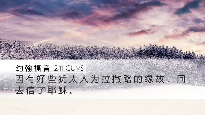 约 翰 福 音 12:11 CUVS Desktop Wallpaper - 因 有 好 些 犹 太 人 为 拉 撒 路 的 - Desktop Bible Verse Wallpaper