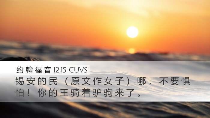 约 翰 福 音 12:15 CUVS Bible Verse Image