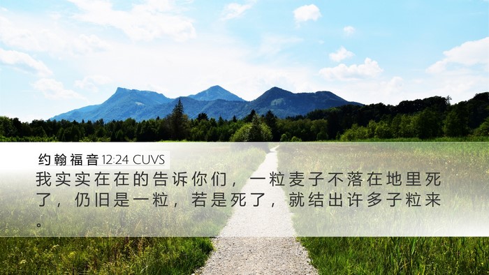 约 翰 福 音 12:24 CUVS Bible Verse Image