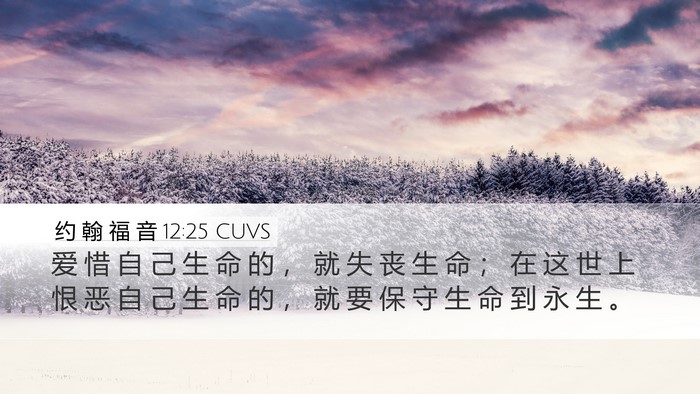 约 翰 福 音 12:25 CUVS Bible Verse Image
