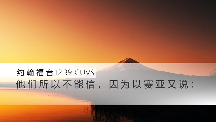 约 翰 福 音 12:39 CUVS Bible Verse Image