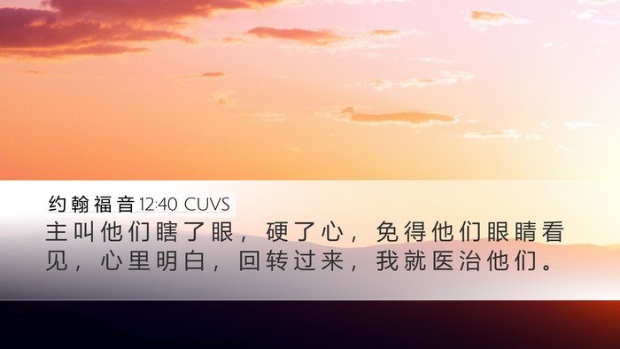 约 翰 福 音 12:40 CUVS Bible Verse Image