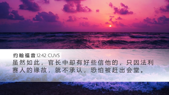 约 翰 福 音 12:42 CUVS Bible Verse Image