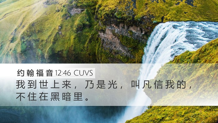 约 翰 福 音 12:46 CUVS Bible Verse Image