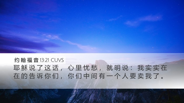 约 翰 福 音 13:21 CUVS Bible Verse Image