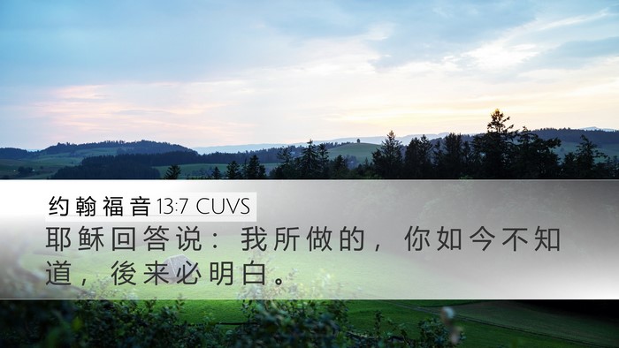 约 翰 福 音 13:7 CUVS Bible Verse Image