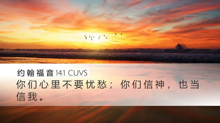 约 翰 福 音 14:1 CUVS Bible Verse Image