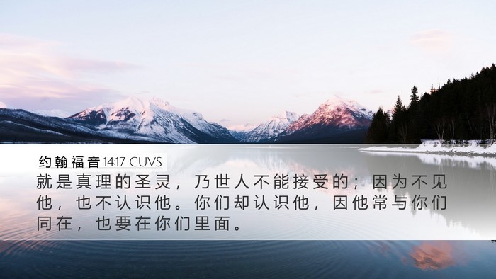 约 翰 福 音 14:17 CUVS Bible Verse Image