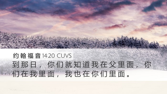 约 翰 福 音 14:20 CUVS Bible Verse Image