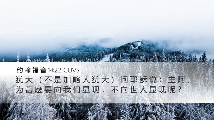约 翰 福 音 14:22 CUVS Bible Verse Image