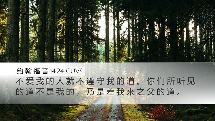 约 翰 福 音 14:24 CUVS Bible Verse Image