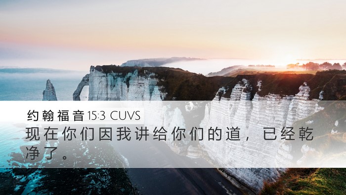 约 翰 福 音 15:3 CUVS Bible Verse Image
