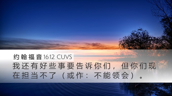 约 翰 福 音 16:12 CUVS Bible Verse Image