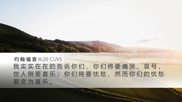 约 翰 福 音 16:20 CUVS Bible Verse Image