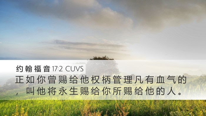 约 翰 福 音 17:2 CUVS Bible Verse Image