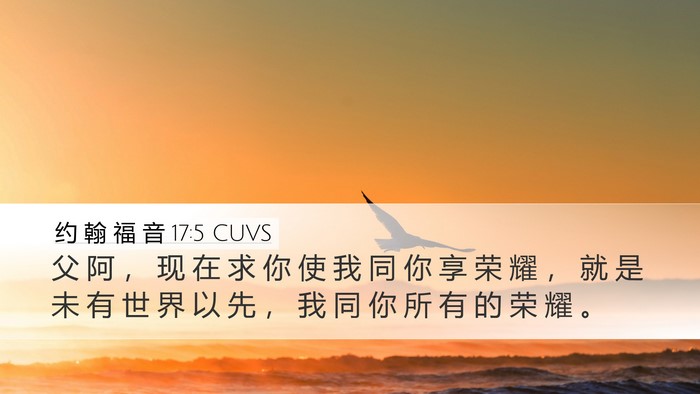 约 翰 福 音 17:5 CUVS Bible Verse Image