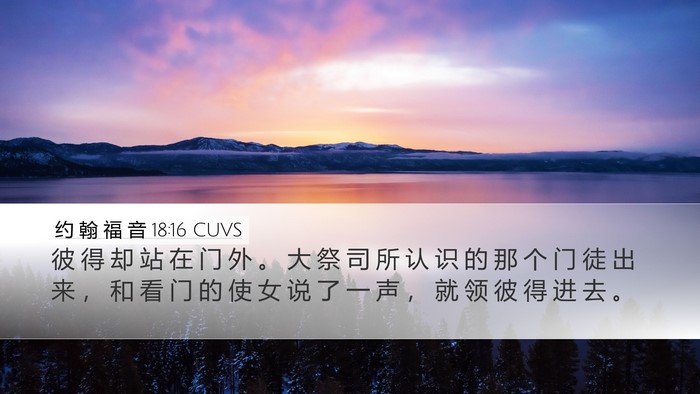 约 翰 福 音 18:16 CUVS Bible Verse Image