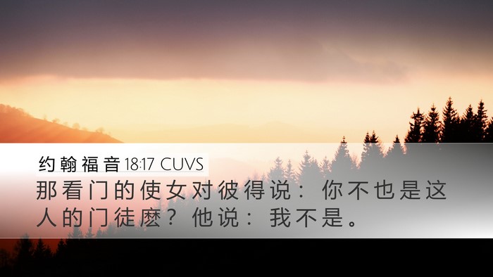 约 翰 福 音 18:17 CUVS Bible Verse Image