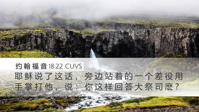 约 翰 福 音 18:22 CUVS Bible Verse Image
